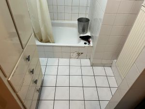 Rohrreinigung In Prenzlauer Berg